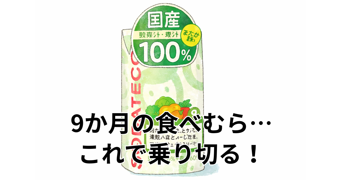 9か月の食べむら…これで乗り切る！